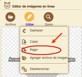 paste image